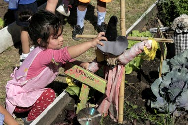 Kindergarten kids use the garden as an