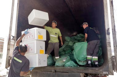 Members of the Siempre Verde cooperative, in VIlla Soldati, in full task