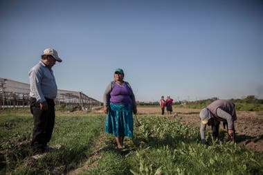 The number of migrant population remains stable